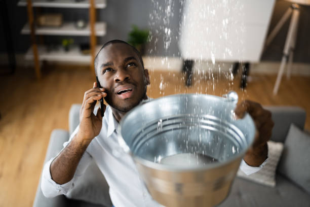 Best Residential water damage restoration  in Florence, KY