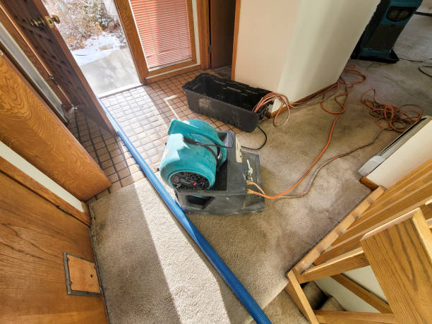 Best 24-hour water damage restoration  in Florence, KY